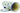 H7960L_1 (2022-02-24 15:14:09)