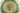 H9933J_0 (2019-08-23 07:53:02)