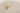 H0845G_0 (2016-01-20 07:08:27)