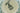 H1795I_0 (2016-05-24 08:29:50)