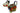 H6120I (2019-01-18 11:46:32)