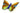 H6123D (2015-11-21 23:50:46)