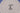 H8366F_0 (2015-11-22 07:27:40)