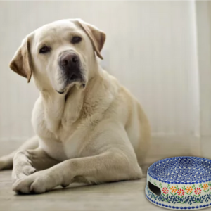 What is the healthiest bowl for your dog?  Polish Pottery of course!