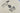 H0146S_0 (2026-05-30 05:15:12)