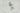 H0342S_0 (2026-03-23 10:47:34)