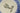 H1019T_0 (2026-04-28 12:46:59)