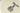 H1114T_0 (2026-05-30 05:15:52)