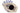 H1229R_0 (2026-06-16 14:41:55)