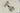 H1237T_0 (2026-05-30 06:16:07)