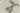 H1247T_0 (2026-05-24 00:11:24)