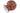 H1247T_1 (2026-05-24 00:11:24)