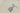 H1248T_0 (2026-05-24 00:11:27)