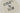 H1251T_0 (2026-05-24 00:24:16)