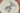H1335T_0 (2026-07-01 10:04:32)