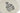 H1384T_0 (2026-07-19 00:43:44)