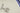 H1468S_0 (2026-08-26 00:03:31)