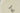 H1478T_0 (2026-08-12 14:25:28)