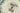 H1497S_0 (2026-08-09 07:51:21)