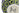 H1506T_0 (2026-07-22 12:34:55)