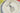 H1725S_0 (2026-07-29 02:19:55)