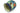 H2142H_1 (2015-11-22 12:21:10)