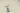 H2169S_0 (2026-09-18 11:30:52)