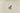 H2231I_0 (2026-08-19 14:58:25)