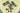H2936G_0 (2015-11-22 09:02:50)
