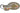 H3898L_1 (2021-01-31 02:26:57)