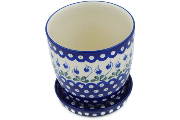 H4611O (2024-11-07 10:01:35)