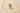 H5022P_0 (2026-01-18 02:49:57)
