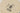 H5093P_0 (2026-08-15 02:03:05)