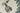 H5284R_0 (2026-05-15 09:39:24)