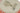 H5454R_0 (2026-04-25 02:55:33)