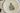 H5551R_0 (2026-08-25 23:37:58)