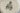 H5593R_0 (2026-06-24 14:20:10)