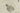 H5842R_0 (2026-04-22 10:24:37)