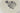 H6896R_0 (2026-06-10 12:09:10)
