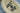 H7469R_0 (2026-08-15 11:30:55)