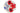 H7497P_1 (2025-03-05 09:55:33)