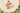 H7967N_0 (2026-02-24 08:28:39)