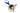 H9678O_0 (2025-01-26 05:27:01)