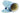 H1135M_1 (2022-03-05 14:09:42)