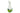 H2470N (2023-06-29 09:39:36)