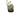 H2711D (2015-11-21 22:37:23)
