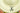 H4859H_0 (2015-11-22 13:17:39)