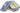 H5936J_1 (2019-07-06 07:07:37)