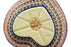 17 oz Heart Bowl - Butterfly Garden | Polish Pottery House